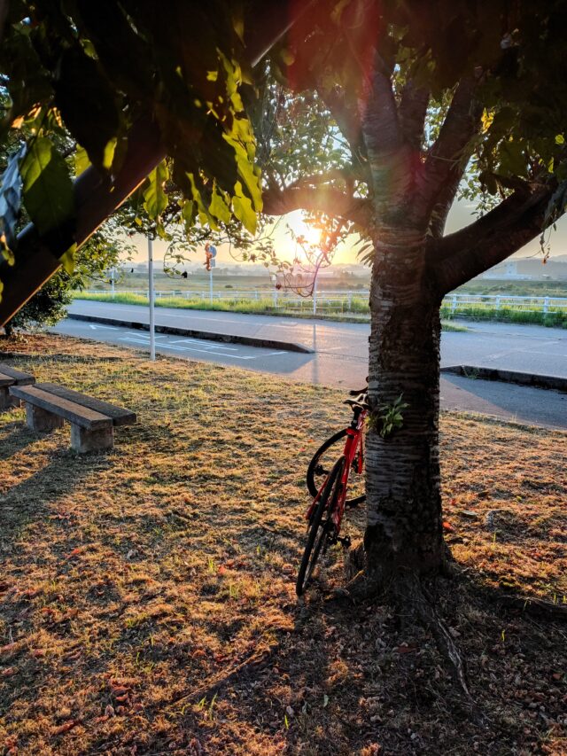 Copilotに学ぶ-2025